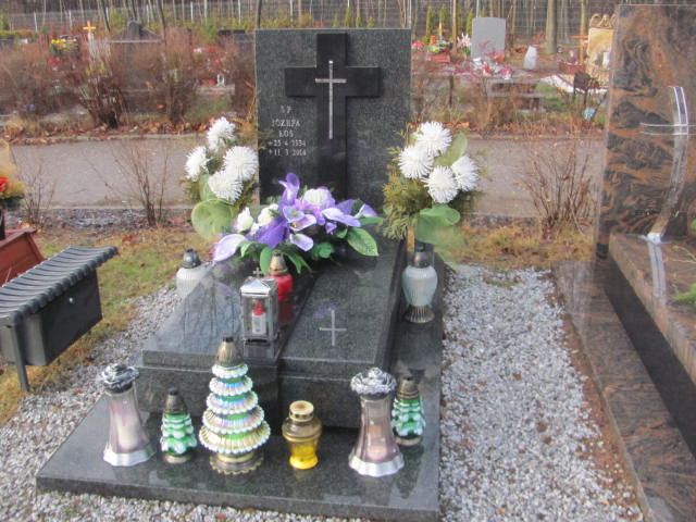 Grób Władysław Łoś