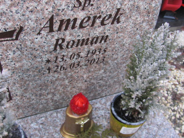 Ziemowit Amerek 1972 Katowice Tysiąclecia - Grobonet - Wyszukiwarka osób pochowanych