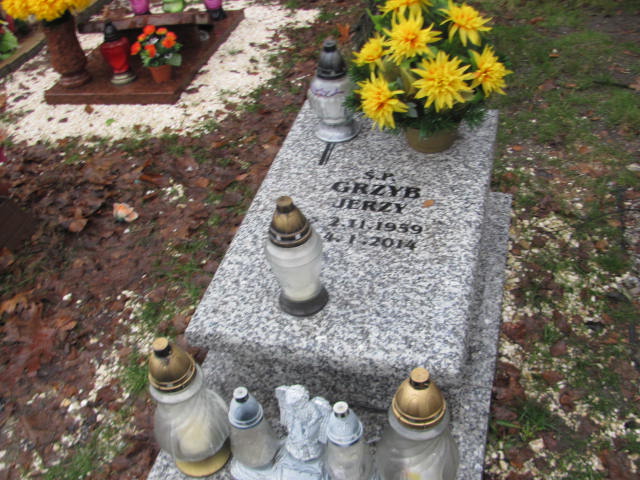 Grób Jerzy Grzyb